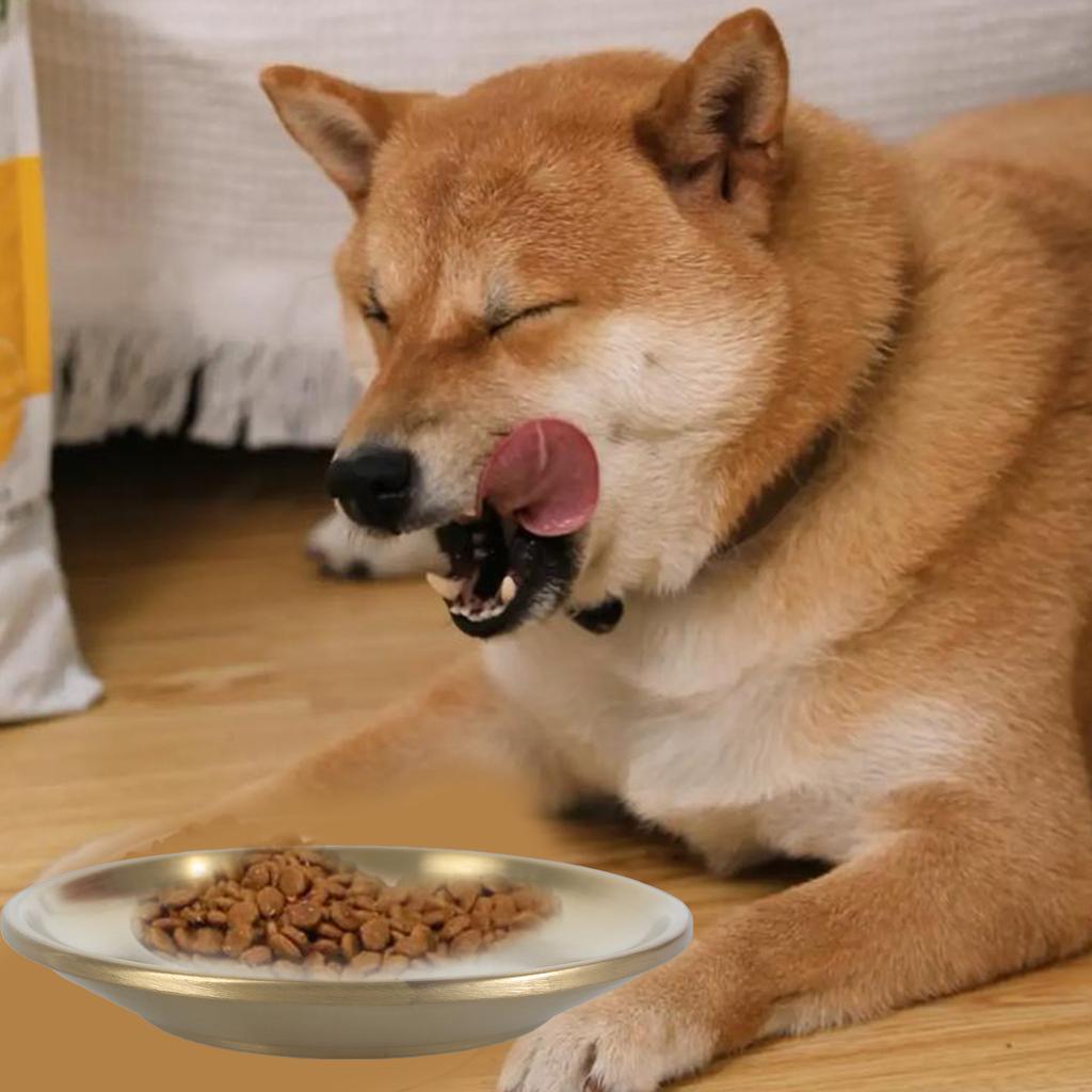 Миска для кошек из нержавеющей стали, плоская, миска для питья и корма для собак, металлическая миска-кормушка для мелких животных