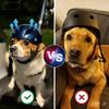 Comfortable Fit Pet Motorcycle Helmet Adjustable Dog Riding Helmet Fashion Dog Helmet  Safety Gear