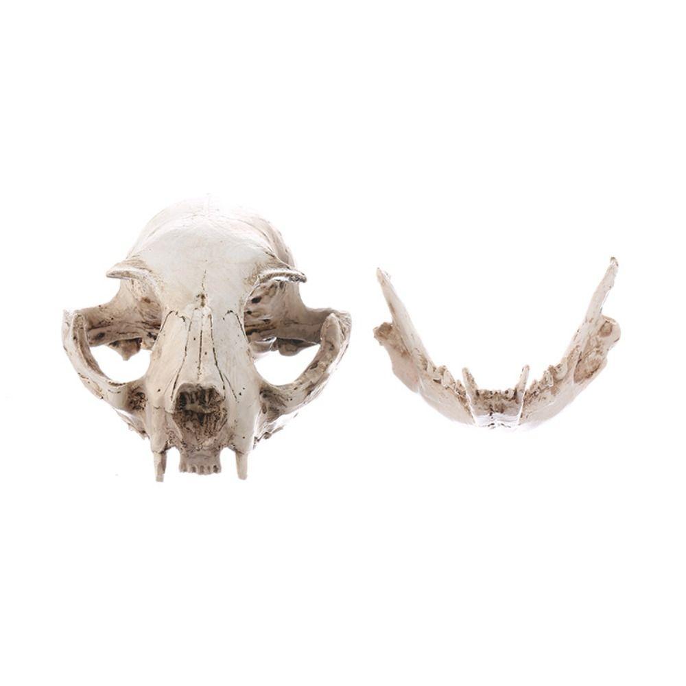 Funny Halloween Cat Skull Model Resin Artificial Skull Head Cat Skull Statue Haunted House