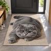 40×60CM 50×80CM 60×90CM Bathroom Carpet Realistic Bedroom Door Rug 3D Cat Floor Mat  Home Decor