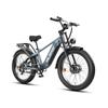 WILDEWAY Soared Pro Electric Bike for Adults, 48V 30Ah Removable Battery,Hydraulic Disc Brakes