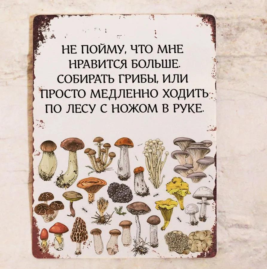 Алюминиевая тарелка Декоративная тарелка Учет грибной ловли, металл, 20Х30 см