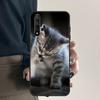 Китти Кошки Милые Для Huawei Nova Y70 Y90 Y60 Y61 Y91 Y72 9 10 SE 12i 12s 11i 5T P60 Pro P20 P30 P40 Lite Чехол
