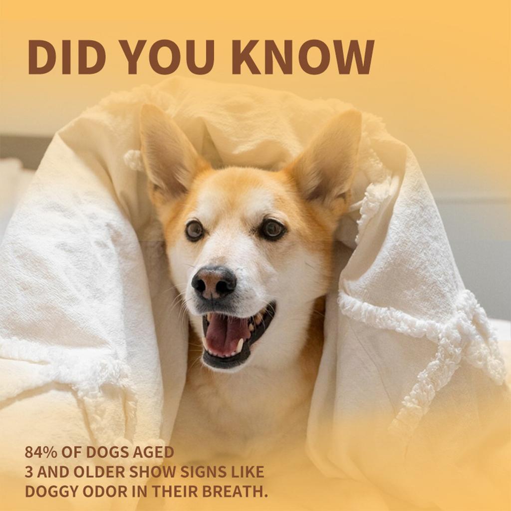 Pet Teeth Cleaning Foam, Advanced Oral Care 60ml Foaming Tartar Remover For Dogs