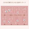 New for Spring DECIBELL Facial Massager with and Gua Sha Includes Japanese instruction 4 9 intensity and Gua Sha plate 2026 EMS, Warmth, Technology.