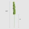 Shell-leaf Irish wind chime long-stem artificial flower decoration green 3PCS