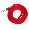 Horse Lunge Line with Snap Heavy Duty High Tensile Horse Training Rope for Training Competition and Daily Traction 6.6ft