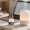 Natural Plant Essential Oil for Diffuser Humidifier 10ml Water Soluble Aroma Oil DIY Candle