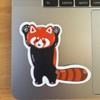 Red Panda Sticker Cute Animal Sticker Durable for Laptop, Car, Luggage, Skateboard & More - Perfect for Teens, Adults, Creative Decor & Gifting