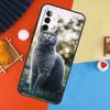 Чехол для кошки Британская короткошерстная для Samsung Galaxy A56 A36 A16 A06 A13 A33 A53 A52 A32 A12 A54 A34 A14 A15 A35 A55 A17