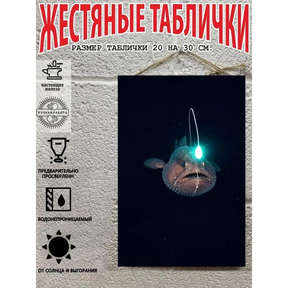 Металлические Настенные Знаки, Коллекция Морских Существ, Декор Комнаты, 20x30 см