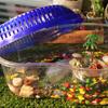 1PC Plastic Goldfish Feeding Box Household Spider Jar Turtle Tank Reptile Container Turtle Habitat
