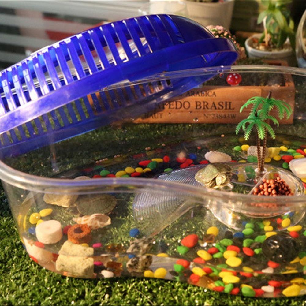 1PC Plastic Goldfish Feeding Box Household Spider Jar Turtle Tank Reptile Container Turtle Habitat