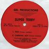 12-дюймовая пластинка SUPER TERRY - Tina; Карнавал Горячий / Помогающая Рука; GEL1201 Gel Productions 1991 США Латинская музыка