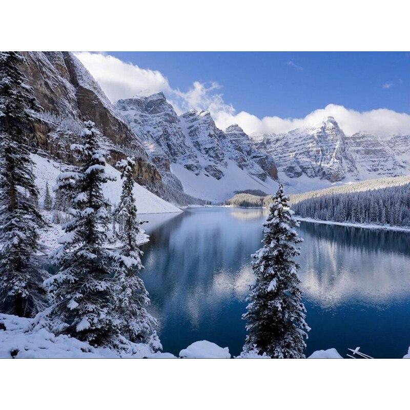 5d Diy Алмазная картина Мандала Алмазная вышивка Крестиком Цветочные картинки Стразы Мозаика Decortion