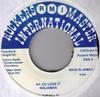 7inch Record NINJAMAN - Na Go Love It Remix NONE Rockers Master  2002 Jamaica Reggae, Ska & Dub Used