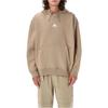 Nike Therma-FIT Fleece Hoodie Khaki Men's DH3087-247