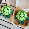 Watermelon Plush Keychain Cute Fruit-Themed Stuffed Toy with Funny Faces Cute Bag