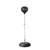 3528 Boxing Speed Ball and Target Training Set
