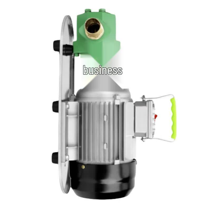 Stainless Steel Electric Oil Pump