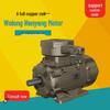 Wolong Nanyang IE4 Three-Phase Asynchronous Motor with Full Copper Winding, Low-Voltage High-Efficiency.