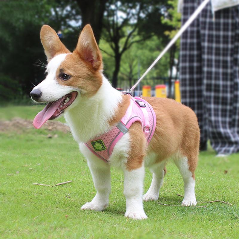 Reflective Lightweight Breathable Dog Harness with Leash - Soft Comfort Pet Vest for Dogs Cat (6 Colors)