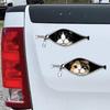 Автомобильные наклейки Молния Форма кошки Клейкие Водонепроницаемые Наклейки для защиты от царапин Прочные Автонаклейки для Автомобилей Электромобилей Окон