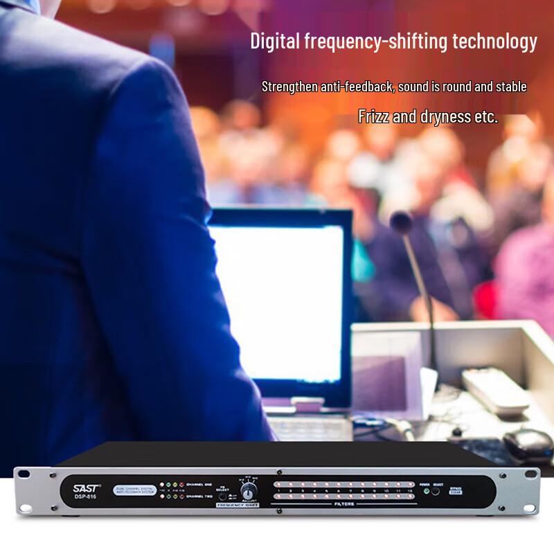 SAST Professional 12-дюймовая пассивная караоке акустическая система