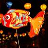Carp Lantern DIY Handheld Chinese New Year LED Fish Lantern for Party Traditional Festival Decorations