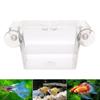 Aquarium Acrylic Fish Tank Breeding Isolation Box Aquarium  Isolation Breeder Hatchery  Holder Accessories Fish Supplies