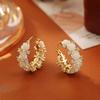 Popular rose zircon earrings, high-end fashion and romantic temperament earrings, women's fresh and sweet celebrity style ear buckles
