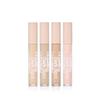 Ink Lasting Dark Spot Concealer 5g