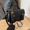 Fashion Popular Hand Carry Cambridge Small Bag Women's 2025 New Trendy French Niche Design Shoulder Messenger Bag