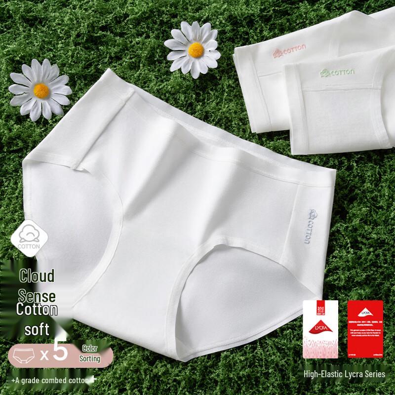 me feeling Women's Antibacterial Cotton Seamless Briefs 5-Pack