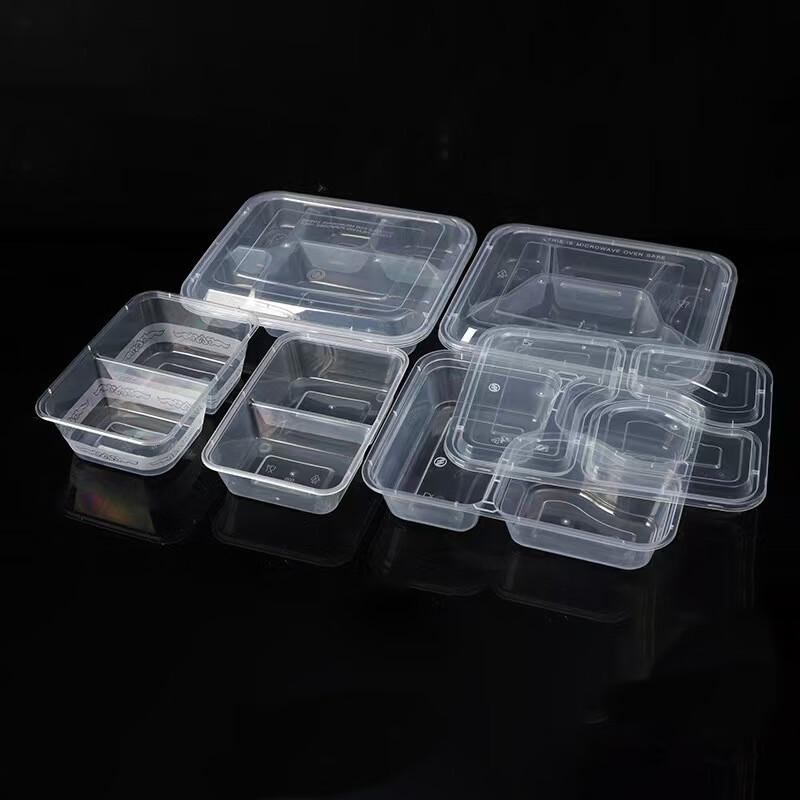 Disposable Picnic Lunch Boxes