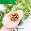 Natural Pine Cone and Dried Flowers Craft Kit for DIY Decor and Kindergarten Projects