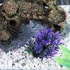 Simulation Artificial Aquatic Plants Mini Underwater Aquatic Plants Water Weeds Ornament  Fish Tank