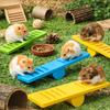 Pet Exercise Plastic Hamster Seesaw Colorful Creative Small Animal Puzzle Pet Cage Pet Sport Exercise