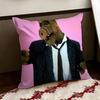 Movie AALF Cushion Cover Reversible Soft Durable Pillow Cover Home  Car MultiScene Use for Daily Comfort