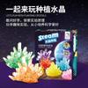 Learning Youma DIY Crystal Planting Test Suit Parent-Child Exchange Chemical Experiment Principle 5 Days Form Factory Outlet