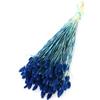Сушеный цветок Palaris Bird Grass Navy Blue