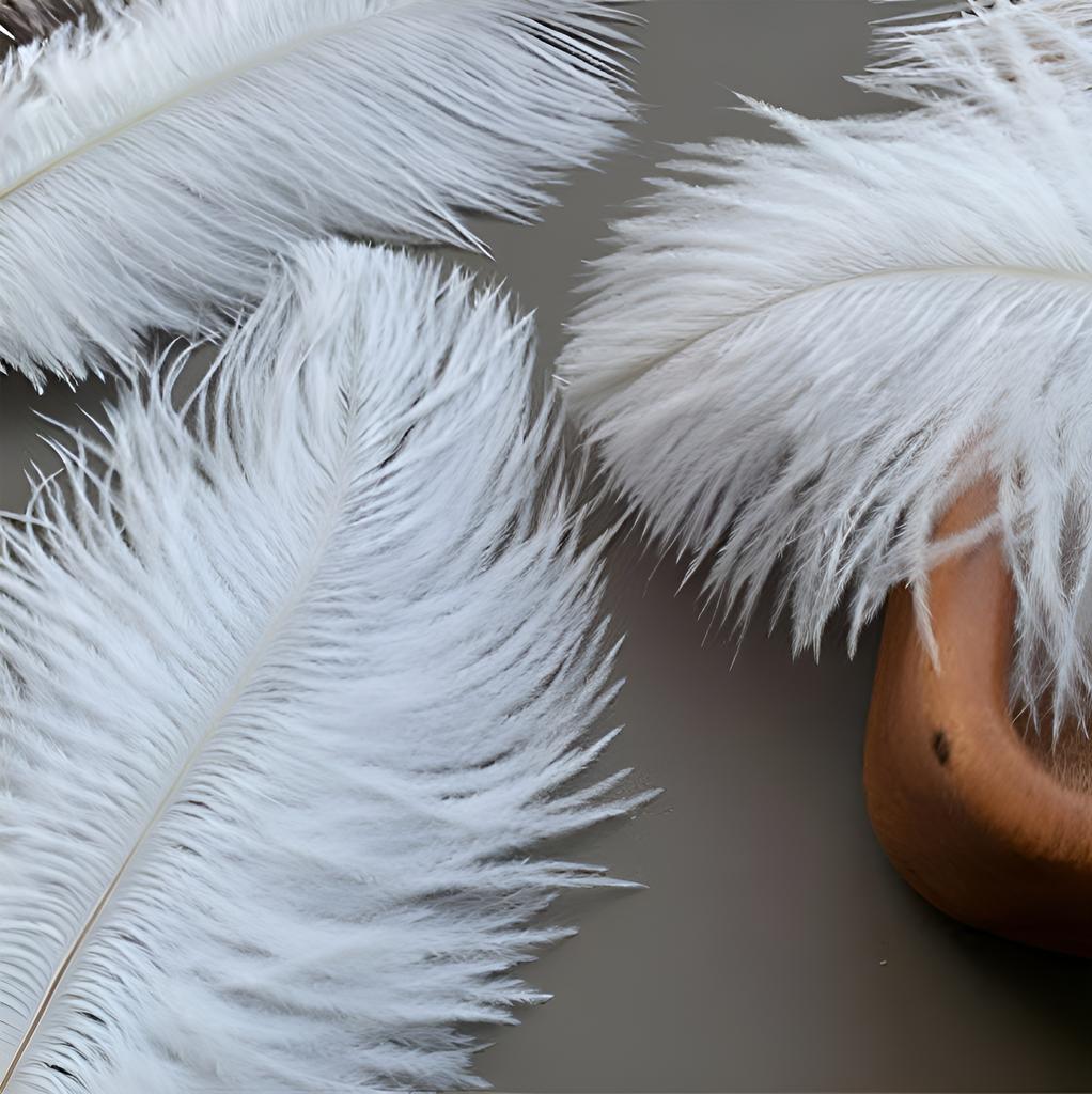 10 шт. Страусиные перья 10 15 см Отделка Ткань Черный Белый Плюмас Маленькие Для Поделок Украшение Вазы Композиция Цветок Карнавал