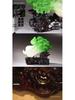 Большая нефритовая капуста с золотой жабой - Украшение для гостиной, прихожей и винного шкафа, Подарок