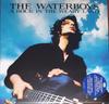 LP Record THE WATERBOYS - A Rock In The Weary Land (Blue Viny COOKLP758BLUEVI Cooking Vinyl 2023 UK Rock