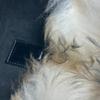 Louis Vuitton M50818 Animal Collection Sac Plat Mouton 2WAY Shoulder Hand Bag