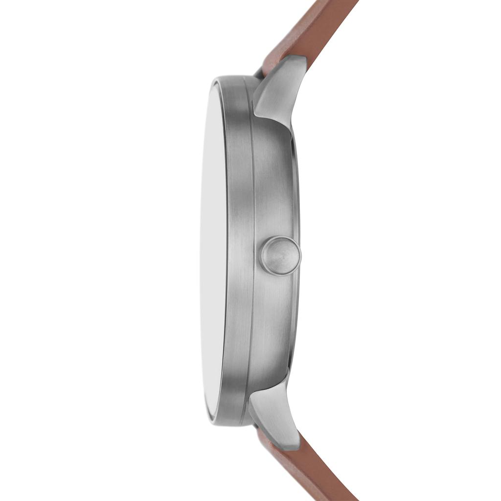 Watch RIIS SKW6885 Brown [Skagen] Men's