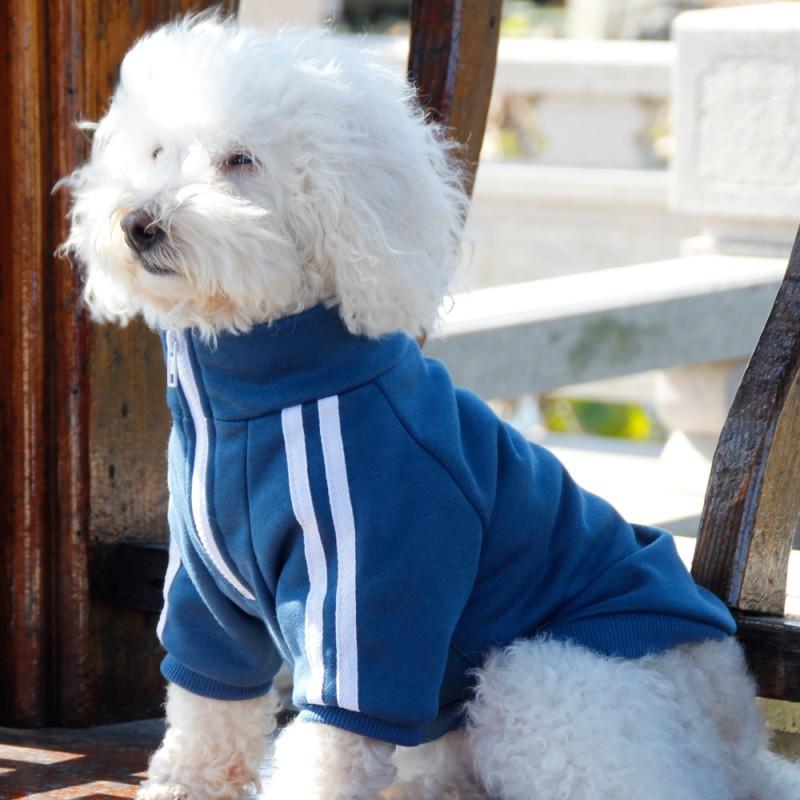 Cotton Pet Hoodie Teddy Poodle Shih Tzu Corgi Dogs Trendy Retro Style Unisex Large Size
