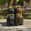 Spring Sunflower Highland Cow Figurines Funny Calf Lovers Gifts  Table Decor