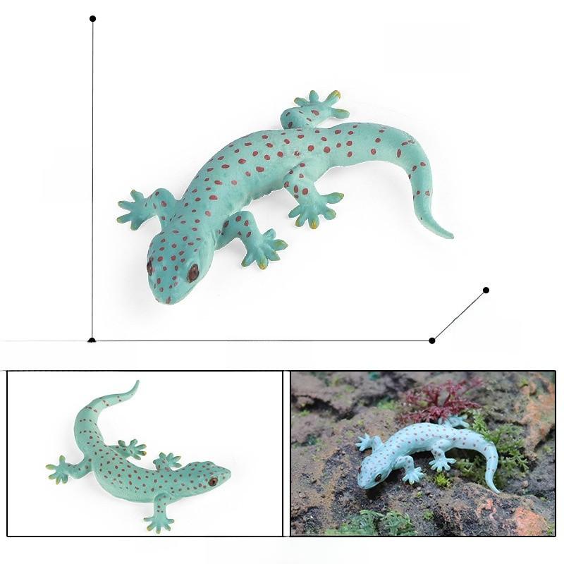 Насекомое Животное Образовательный Набор Моделей Пластиковые Фигурки Детское Обучение Школьное Домашнее