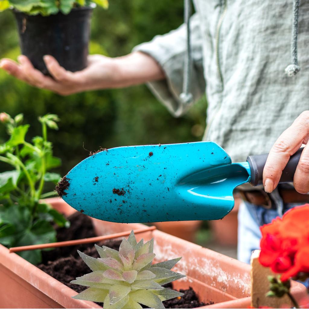 Искусственное суккулентное растение, мягкое ПВХ, высокая имитация, мини-поддельное растение для украшения стола в домашнем офисе